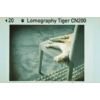 Kép 3/5 - Lomography Color Tiger 200/110 színes pocketfilm mintakép