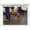 Kép 5/5 - Lomography Color Tiger 200/110 színes pocketfilm mintakép