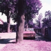 Kép 3/5 - Lomography Lomochrome Purple/120 színes film minta kép