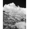 Kép 3/5 - Rollei Infrared 400/135 fekete-fehér film minta