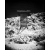 Kép 4/5 - Rollei Infrared 400/135 fekete-fehér film minta2