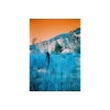 Kép 3/6 - lomochrome turquoise 110- so100-400-szines film minta1