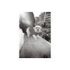 Kép 8/11 - 2025-01-30__vie__staff__daylight-tank__lc-wide__ladygrey-bw-135-film__002