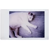 Kép 8/9 - LomoInstant White instant fényképezőgép mintakép