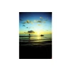 Kép 8/9 - 2021-05-18__row__stephane-heinz-vicuna__lasardina__025