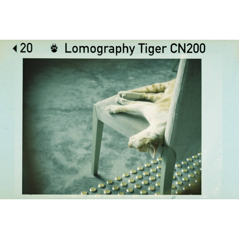 Lomography Color Tiger 200/110 színes pocketfilm mintakép