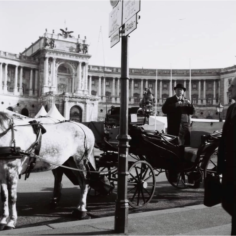 Lomography Earl Grey B&amp;W 100/120 fekete-fehér rollfilm mintakép