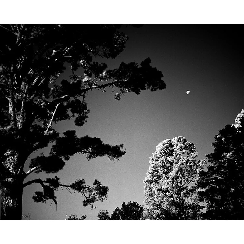 Rollei-Infrared-400-rolllfilm