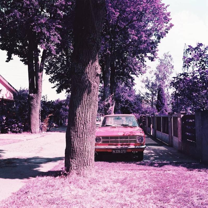 Lomography Lomochrome Purple/120 színes film minta kép