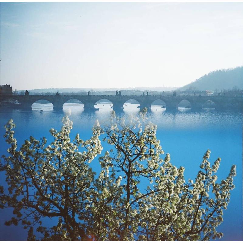Lomography Color 400/120 színes film minta kép