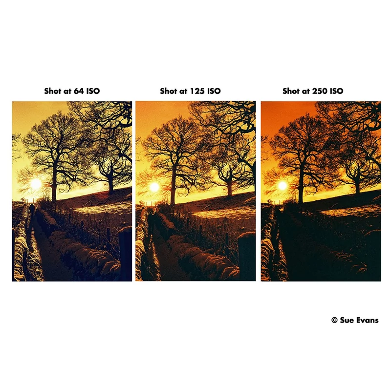 Harman Red 120 film