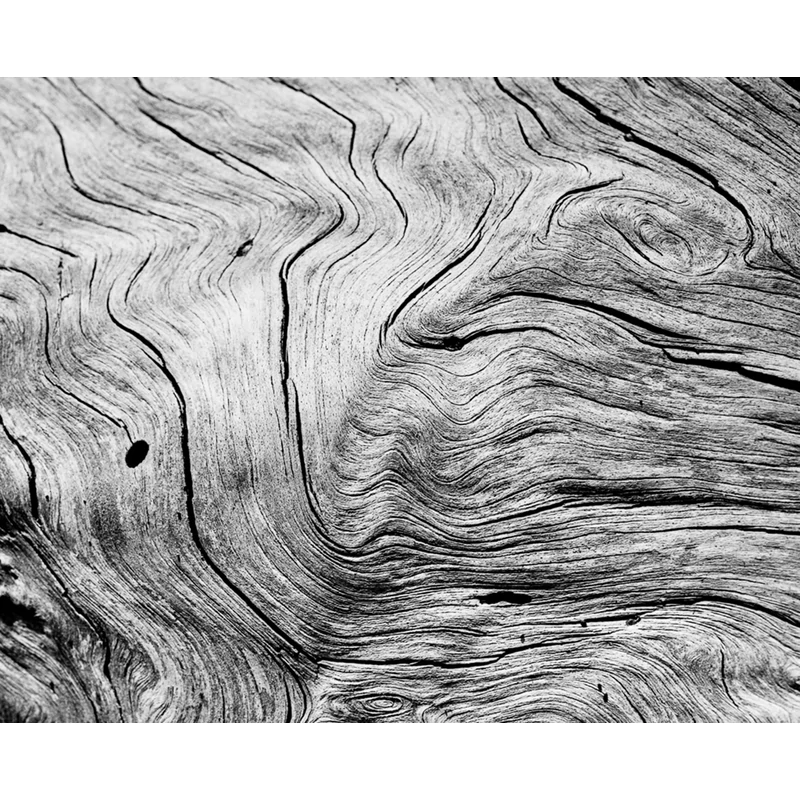 Rollei-Ortho-25-Plus-film