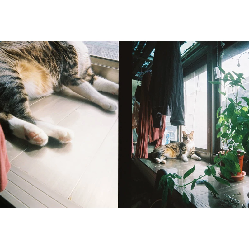 Kodak-Ektar-H35-fekete