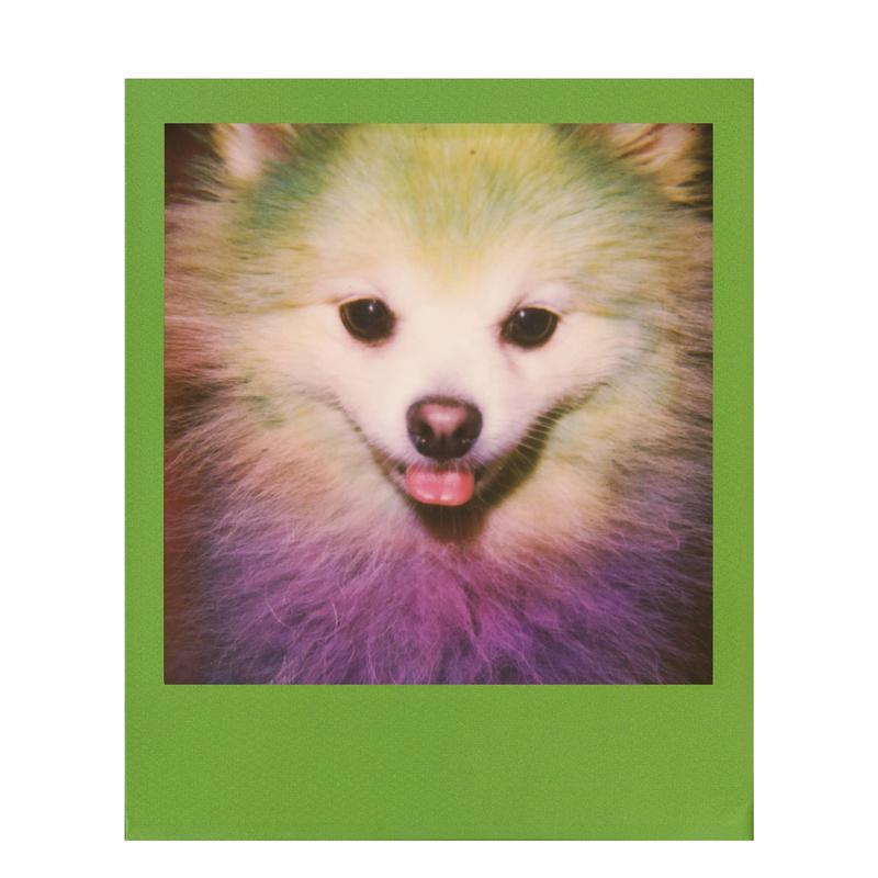 Polaroid color 600 film Color Frame mintakép