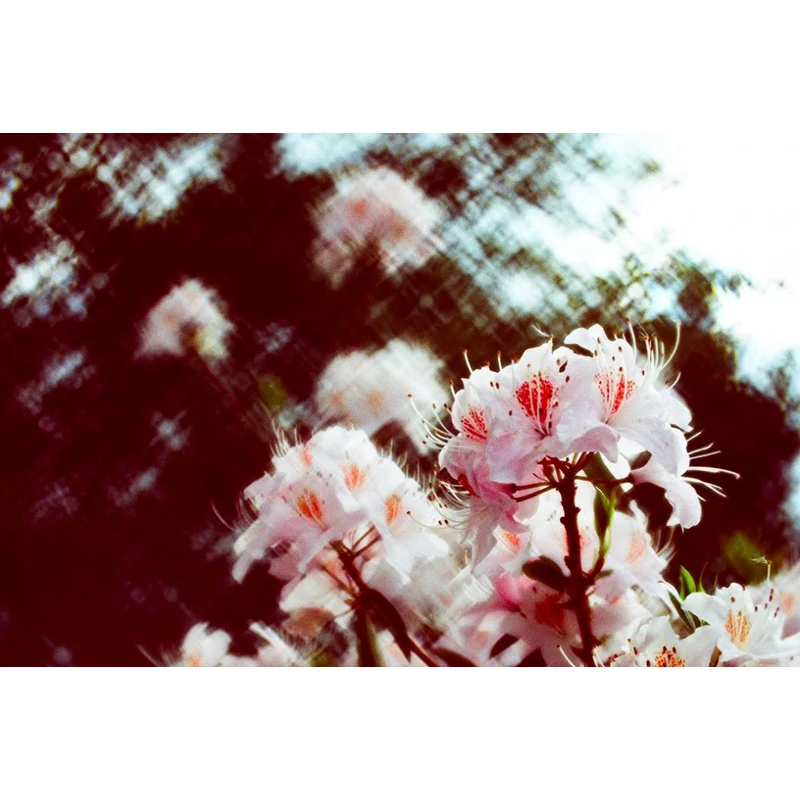 2020-06-08__uk__andrej-russkovski__daguerreotype__009_1