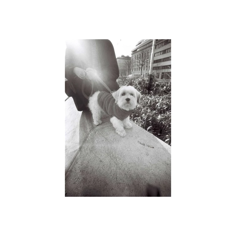 2025-01-30__vie__staff__daylight-tank__lc-wide__ladygrey-bw-135-film__002