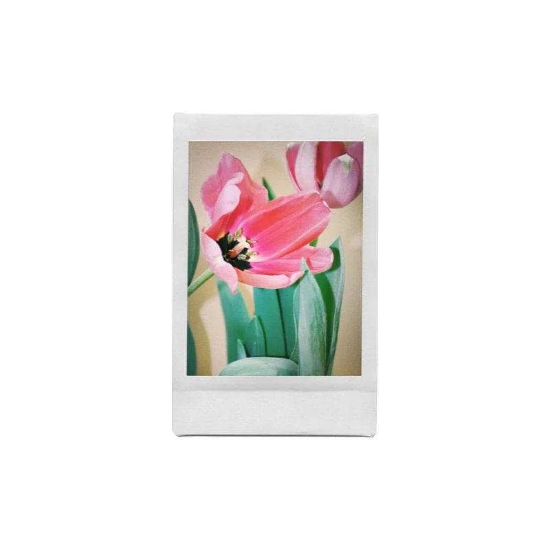 Lomo’Instant &amp; Lenses Song’s Palette instant fényképezőgép mintafotó4