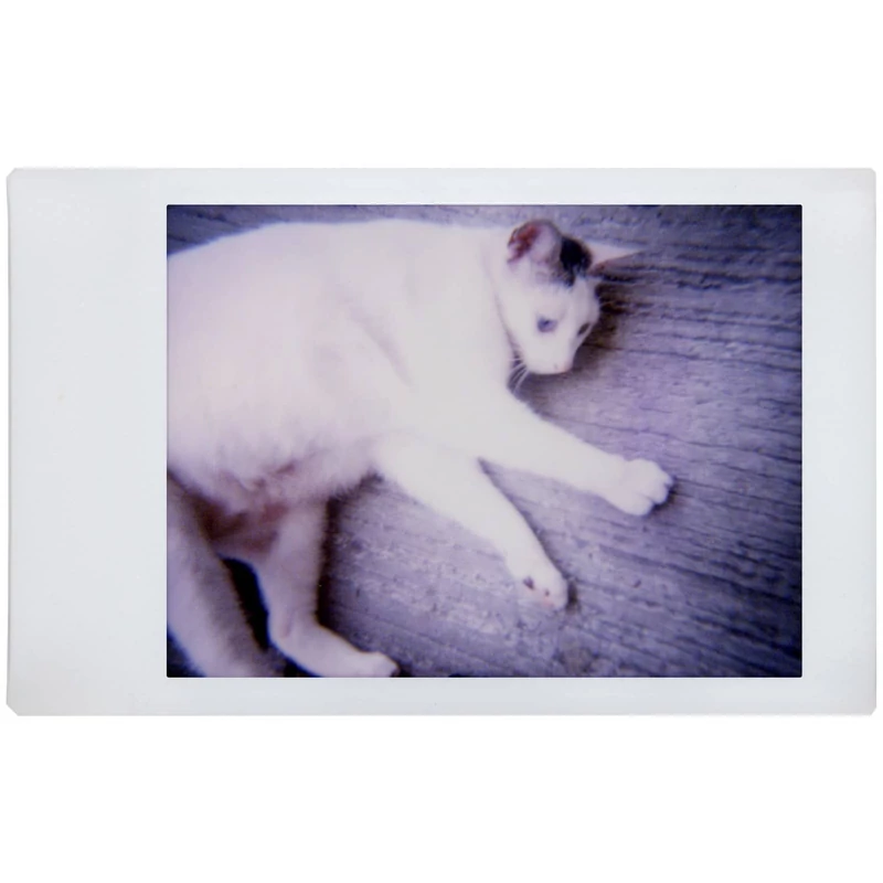 LomoInstant White instant fényképezőgép mintakép