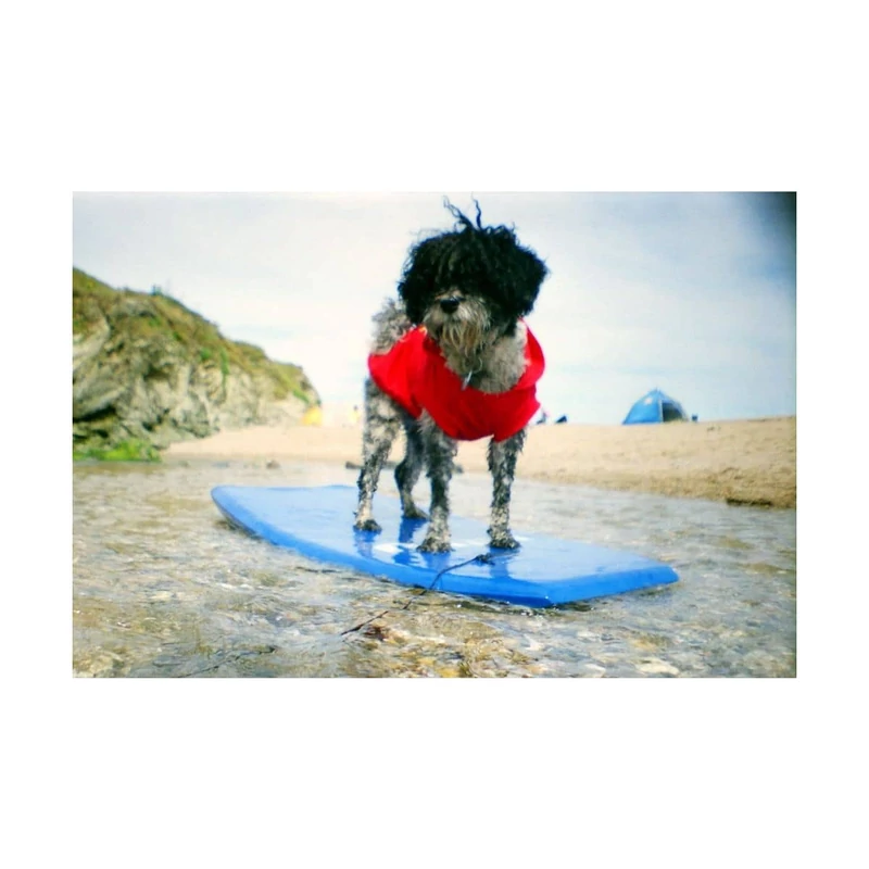 2021-06-18__dach__stephan-hill__lasardina__009_1_