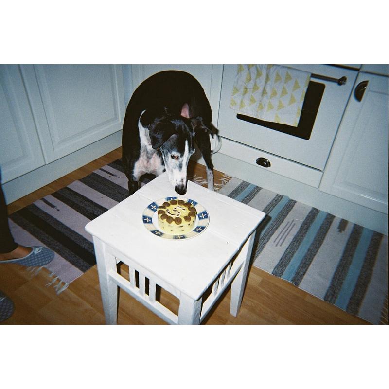 Lomography Simple Use többször használatos fényképezőgép (színes filmmel) mintakép